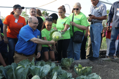 Programa “Huertos Comunitarios” en San Nicolás de los Garza, N.L.
